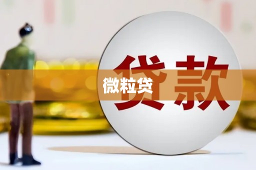 保税港区微粒贷