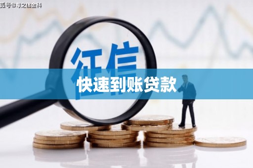 保税港区快速到账贷款