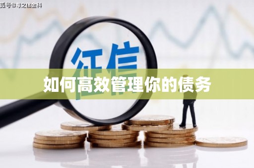 保税港区如何高效管理你的债务