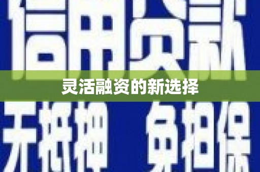保税港区灵活融资的新选择