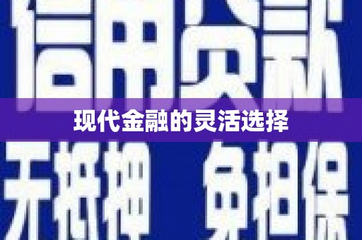 保税港区现代金融的灵活选择