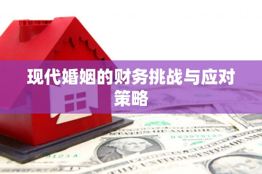 保税港区现代婚姻的财务挑战与应对策略