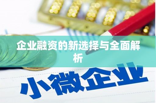保税港区企业融资的新选择与全面解析