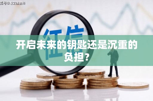 保税港区开启未来的钥匙还是沉重的负担？