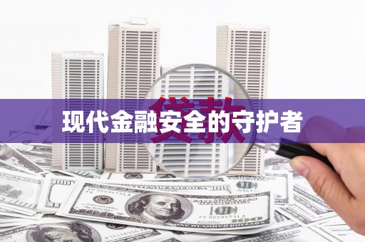 保税港区现代金融安全的守护者