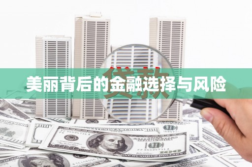 保税港区美丽背后的金融选择与风险