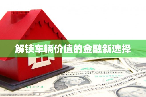 保税港区解锁车辆价值的金融新选择