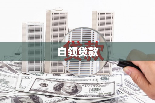 保税港区白领贷款