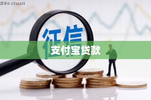 保税港区支付宝贷款