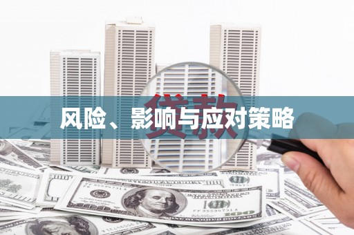 保税港区风险、影响与应对策略