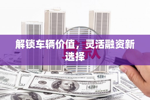 保税港区解锁车辆价值，灵活融资新选择