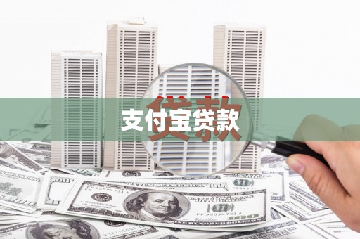 保税港区支付宝贷款
