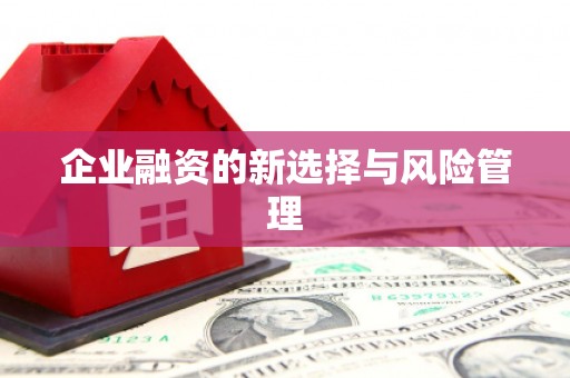 保税港区企业融资的新选择与风险管理