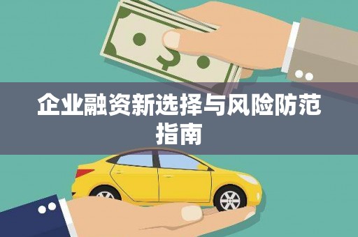 保税港区企业融资新选择与风险防范指南
