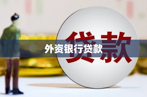 保税港区外资银行贷款