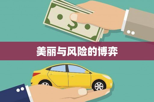 保税港区美丽与风险的博弈
