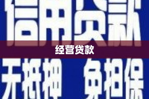 保税港区经营贷款