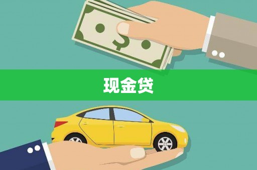 保税港区现金贷