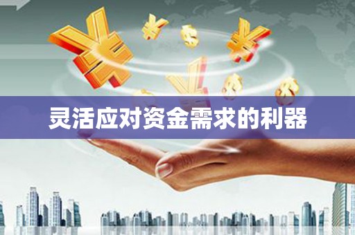保税港区灵活应对资金需求的利器
