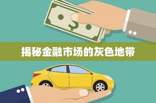 保税港区揭秘金融市场的灰色地带