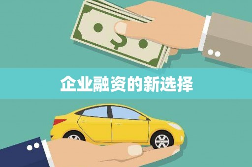保税港区企业融资的新选择