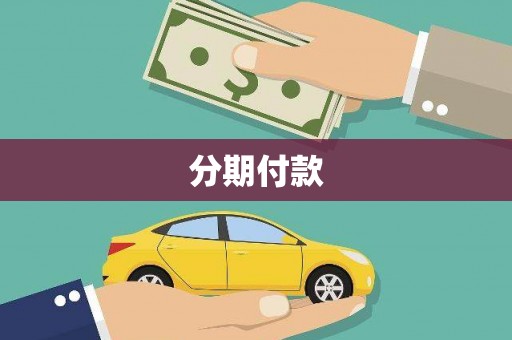 保税港区分期付款