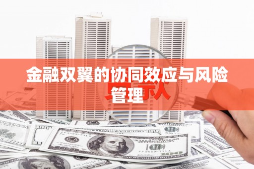 保税港区金融双翼的协同效应与风险管理