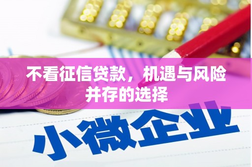 保税港区不看征信贷款，机遇与风险并存的选择