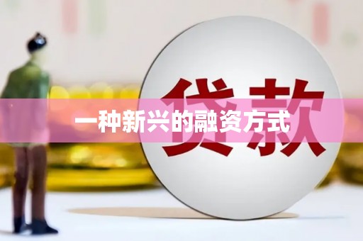 保税港区一种新兴的融资方式