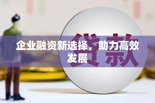 保税港区企业融资新选择，助力高效发展