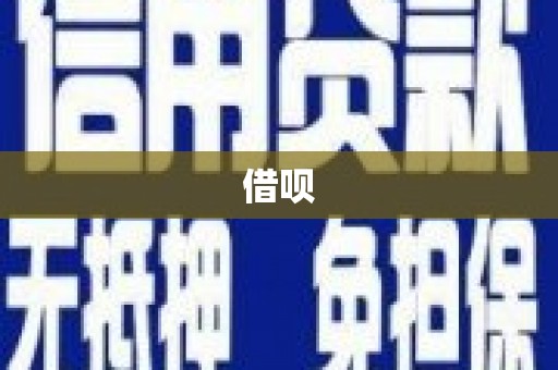 保税港区借呗