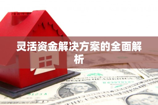 保税港区灵活资金解决方案的全面解析