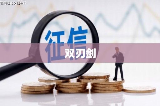 保税港区双刃剑