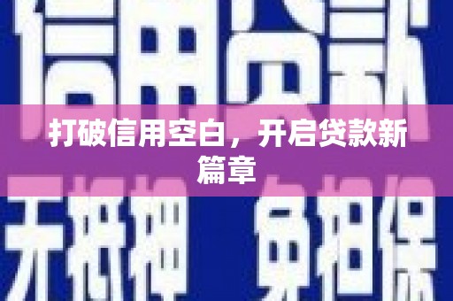 保税港区打破信用空白，开启贷款新篇章