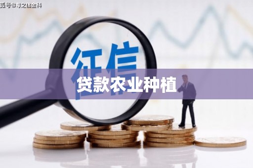 保税港区贷款农业种植