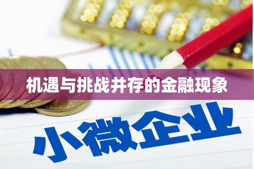 保税港区机遇与挑战并存的金融现象