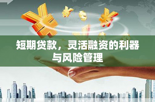 保税港区短期贷款，灵活融资的利器与风险管理