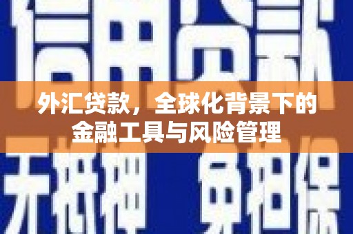 保税港区外汇贷款，全球化背景下的金融工具与风险管理