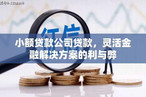 保税港区小额贷款公司贷款，灵活金融解决方案的利与弊