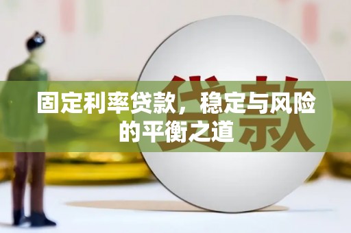 保税港区固定利率贷款，稳定与风险的平衡之道