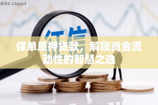 保税港区保单质押贷款，解锁资金流动性的智慧之选