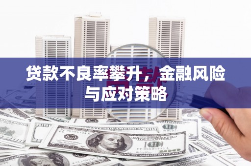 保税港区贷款不良率攀升，金融风险与应对策略