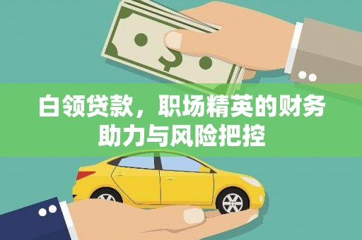 保税港区白领贷款，职场精英的财务助力与风险把控