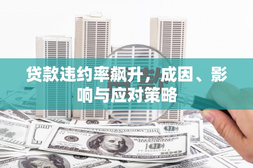 保税港区贷款违约率飙升，成因、影响与应对策略